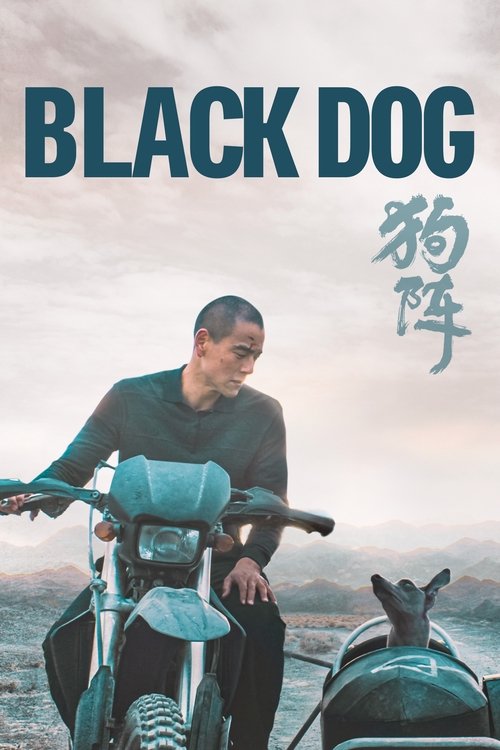 Black Dog