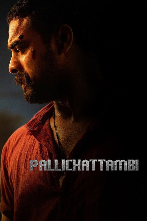 Pallichattambi Part B
